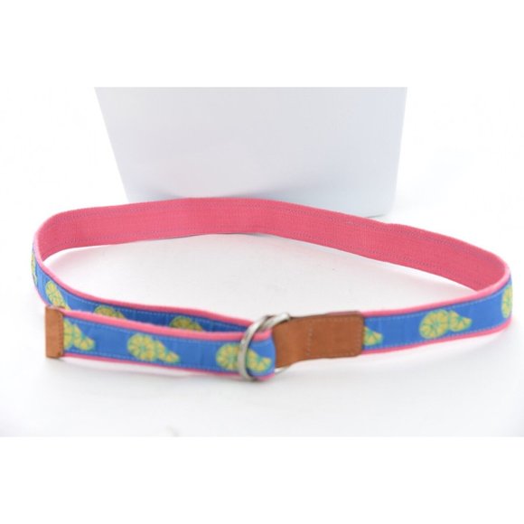 Talbots Women Sz L Lemon Print Ribbon Belt Canvas Leather Blue Preppy D Ring USA - Picture 7 of 8